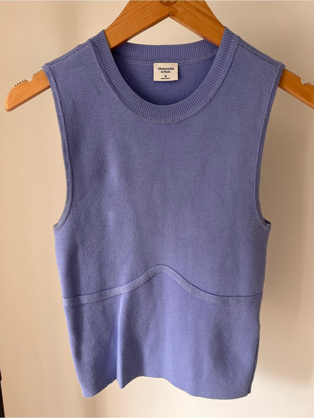 Abercrombie & Fitch Lavender Knit Tank Top - Picture 1 of 3